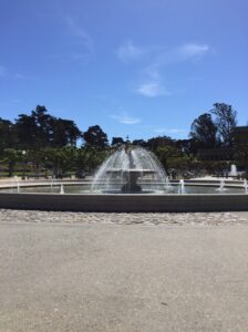 Golden Gate Park Fountain