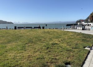 Tiburon