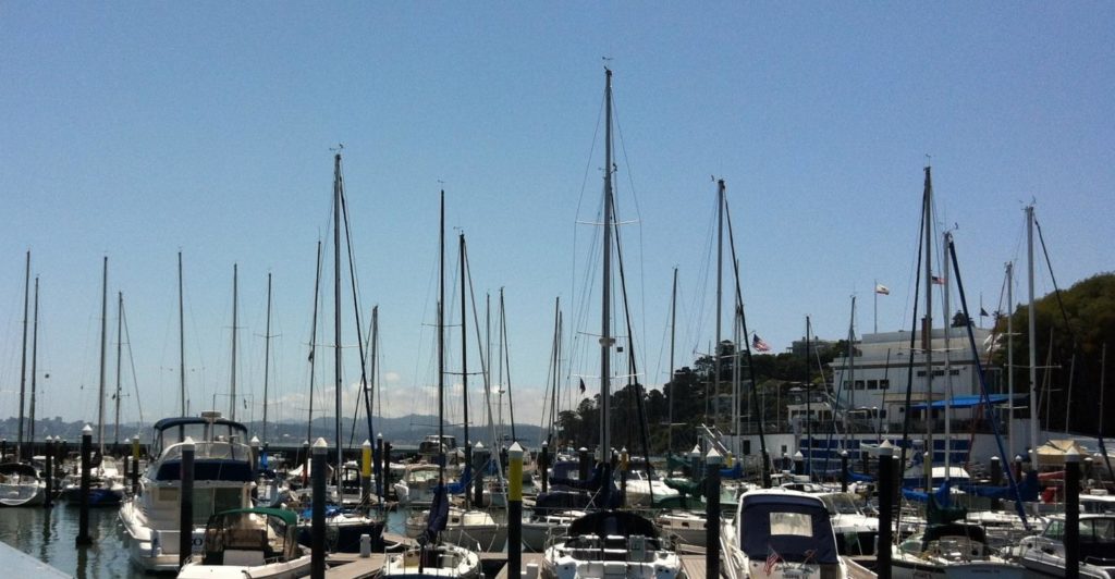 Tiburon Treasure Hunt