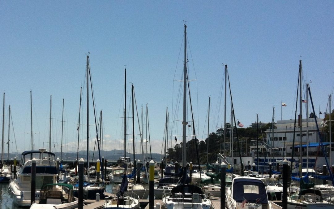 Tiburon Treasure Hunt