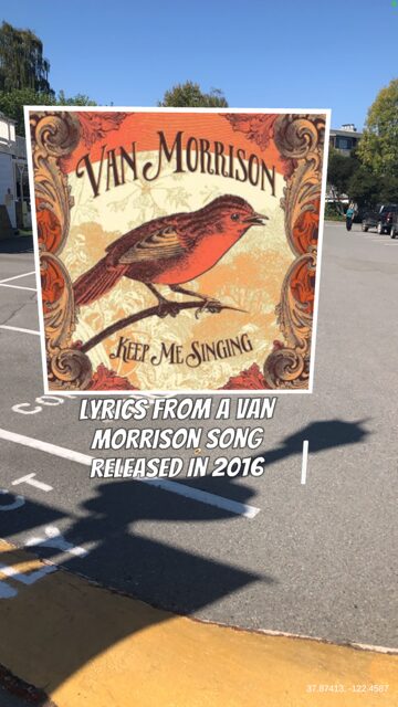 Unite Your Remote Team with a Virtual Adventure!