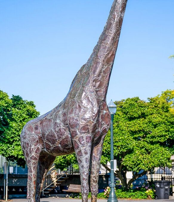 Unleash Your Inner Adventurer: Discover San Mateo with Mr Treasure Hunt!