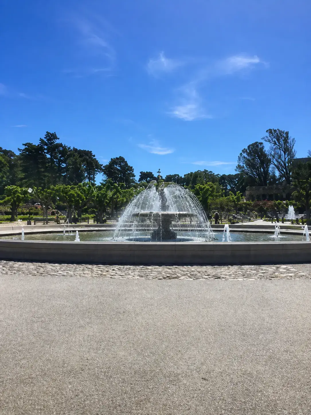 Golden Gate Park scavenger hunt event near Rideout Fountain in San Francisco